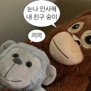 낭만게스트하우스 이미지