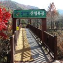 대전 상소동 산림욕장과 아름다운 돌탑들 이미지