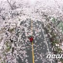 제일원떡방앗간 이미지