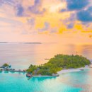 한림주유소 | 제주 렌터카 가격 할인 비교 예약 추천 필수 꿀팁 총정리