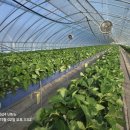 정은농장 이미지