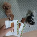 개고생(개와고양이생각) | 동물병원 전용 시그니처바이 타히보 특수부위 저칼로리 간식