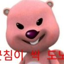 컴포즈커피 울산대정문점