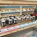 보문쏠라 | 6월 일기