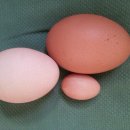 안동봉화축협 앞 이미지