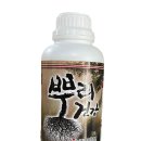 한농종묘사 이미지