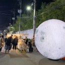 장미의거리4 이미지