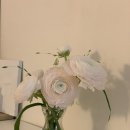 애니웨어러버블 | 데이트스냅, 벚꽃스냅, 웨딩스냅으로 추천하는 애니웨어러버블 !