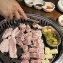 83돼지 이미지