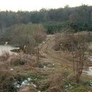 한씨 제각 옆 | 반남면 신촌리(성내북두마을 독후산아래 나주나씨제각부근 신촌지옆)보전관리지역 가축사육제한구역 전...