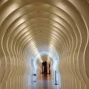 유정1955 이미지