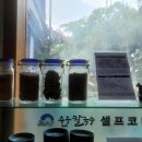 관광특구 진입로 이미지