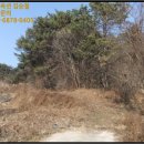 송동면 내사촌마을 이미지