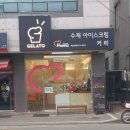 젤라떼리아빤나 이미지