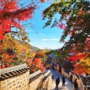 성보통상(주) | 부산 범어사 단풍 명소 포토존 절정 시기 대웅전 풍경