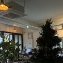 호선한의원 | [대전] 대흥동 이색데이트 추천, 레트로 감성 ‘LP카페 상상’ 솔직후기