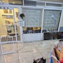 바오펫살롱 이미지