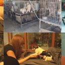 와와농장 이미지