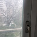 이철우공인중개사사무소 이미지