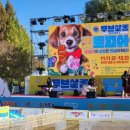 주식회사 펫토피아 이미지
