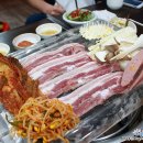 배부른돼지 이미지