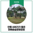 강변시민공원 공도교 벤치 옆 | 안동 쉬어가기 좋은 마애솔숲문화공원 :: 안동여행, 안동 가볼 만한 곳, 안동 비대면 여행지