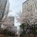 [공지] 경희궁자이 2단지 아파트 34평형 급 매물 26억 5천! 멀티룸이 있는 실속형 구조, 실 입주가능 매매