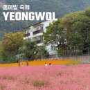 연상2리마을회관 | 2025 영월 홍메밀 실시간, 축제 기본정보 및 주차