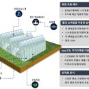 태양팜 이미지