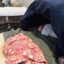 춘천 에스테틱 &#34;미도피부관리실&#34; 도테라 오일로 등관리 받은 솔직 후기 춘천 석사동 피부관리 추천