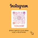 더솔체 이미지