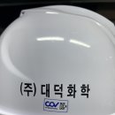 (주)대덕화학