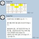 퍼피플랜 이미지