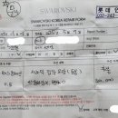 백조수선 이미지