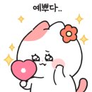 더아름다운세상 이미지