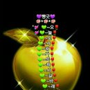 어두육미 이미지