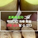 감자 초록색 솔라닌 독 증상 싹난거 먹어도 괜찮을까? 이미지