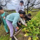 천서농장 이미지