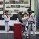 BOK 태권도 이미지