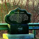 산수유꽃길로 이미지