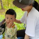 연천 알멕스랜드 캠핑장 (18.06.16~17)