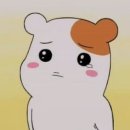 라이브휘트니스 이미지