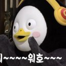 미스터최