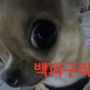 99 네이버블로그
