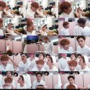 비둘기모사 이미지