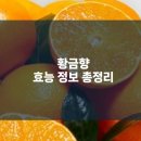 황금향 이미지