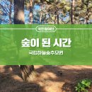 숲이 된 시간, 국립하늘숲추모원
