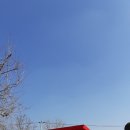 신전초등학교 이미지