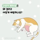 장호원동물병원 이미지