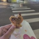 2023 투자 전략이 있나요? - 2023 대한민국 투자 트렌드 후기(홍춘욱, 강환국, 김성일 작가님)